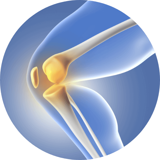 MMクリニックの膝関節に関する画像